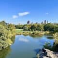 Central Park Rocks
