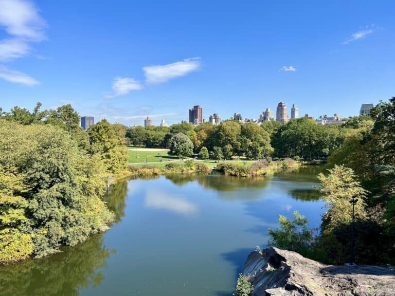 8 Best Central Park Rocks for Views & Hangouts (Umpire, Summit, & More)