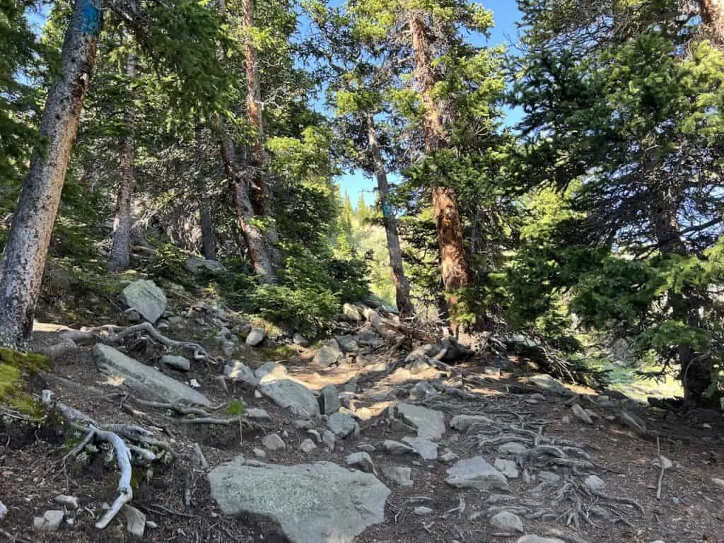 Blue Trail Markers Hike