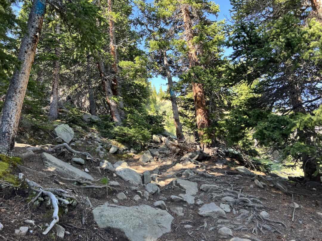 Hiking the Silver Dollar Lake Trail (with Murray Lake & Naylor Lake)