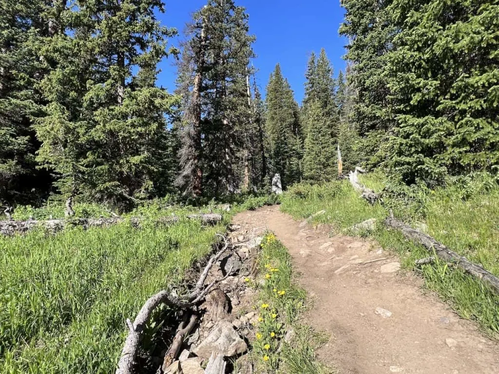 Hiking the Silver Dollar Lake Trail (with Murray Lake & Naylor Lake)