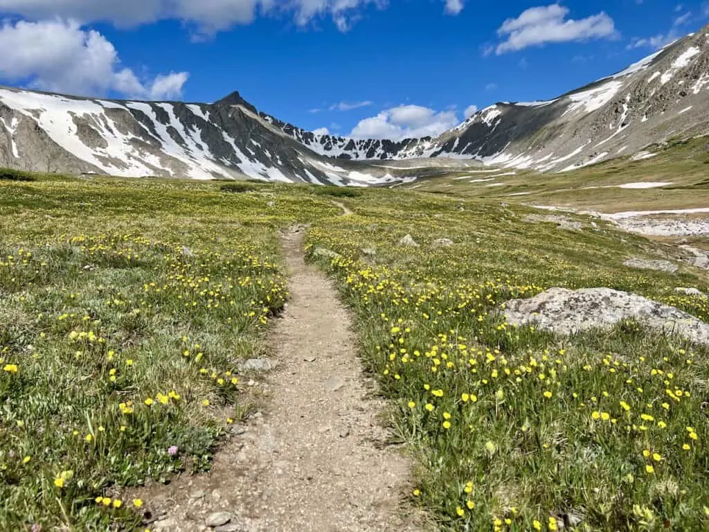 Mohawk Lake Wildflowers