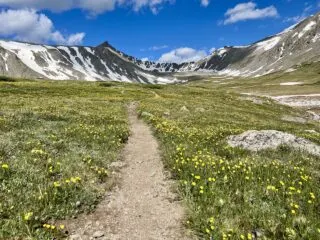 Mohawk Lake Wildflowers