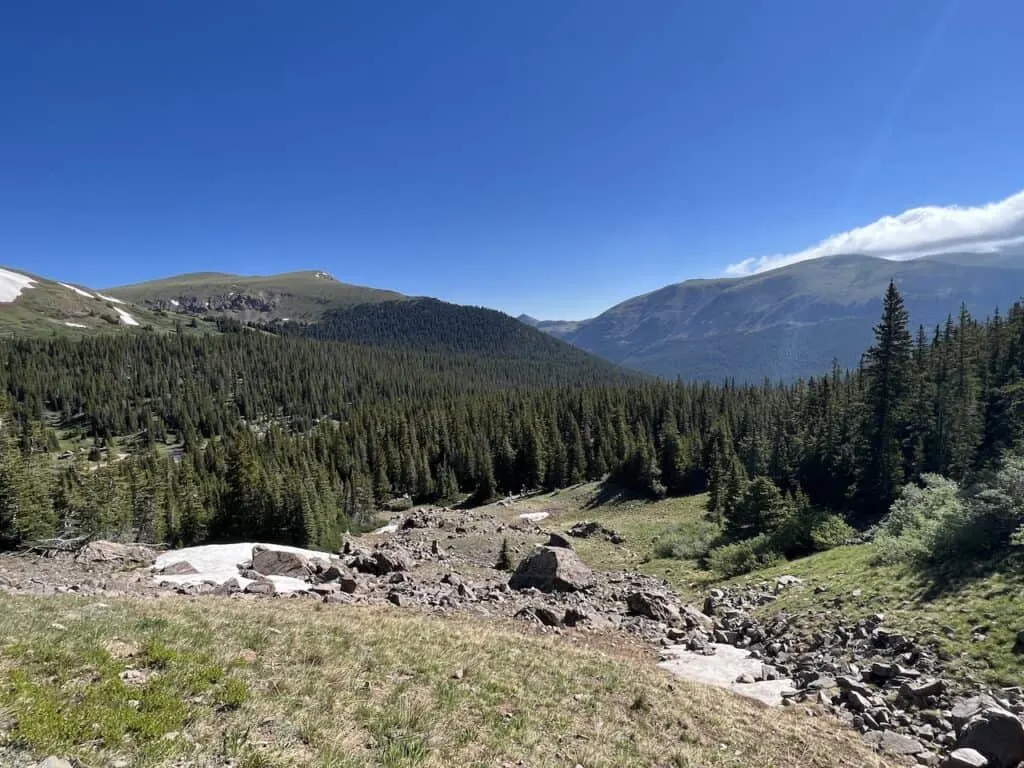 Silver Dollar Above Tree Line