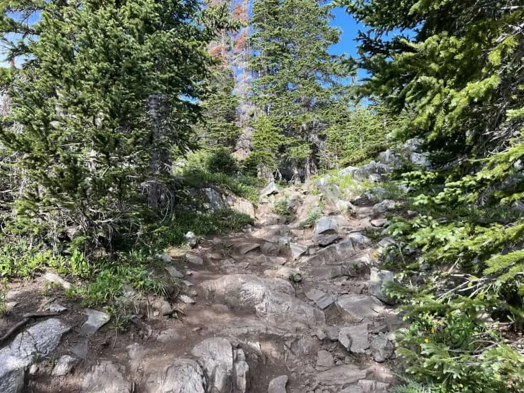 Spruce Creek Trail Terrain