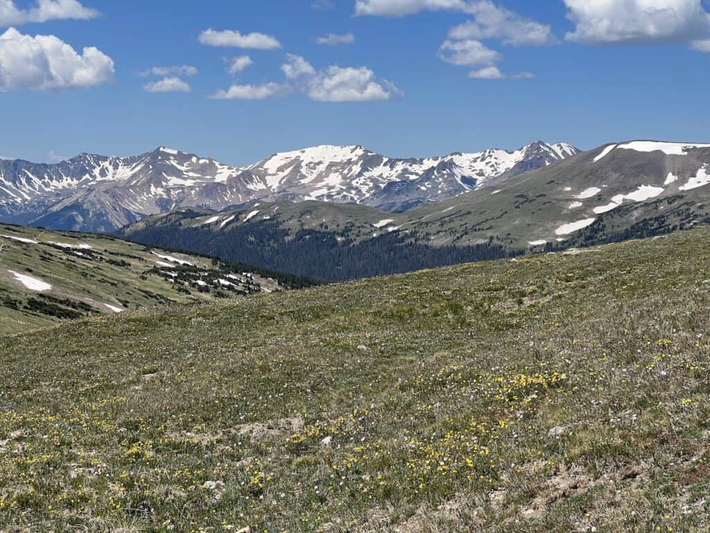 Alpine Ridge Trail RMNP