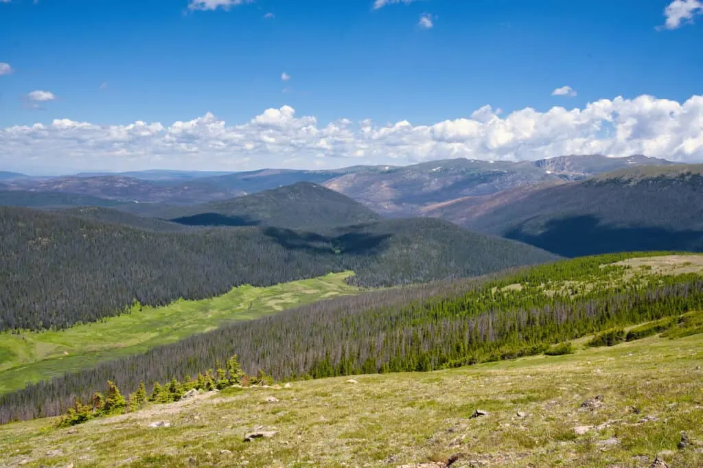 Medicine Bow Curve