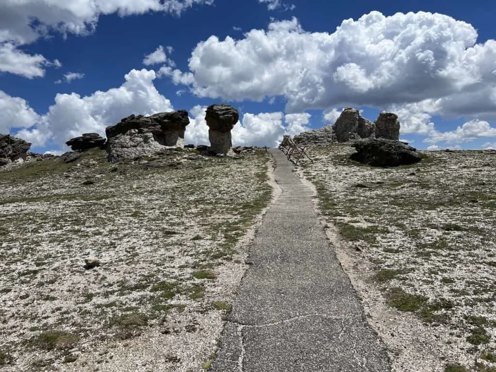 Mushroom Rocks