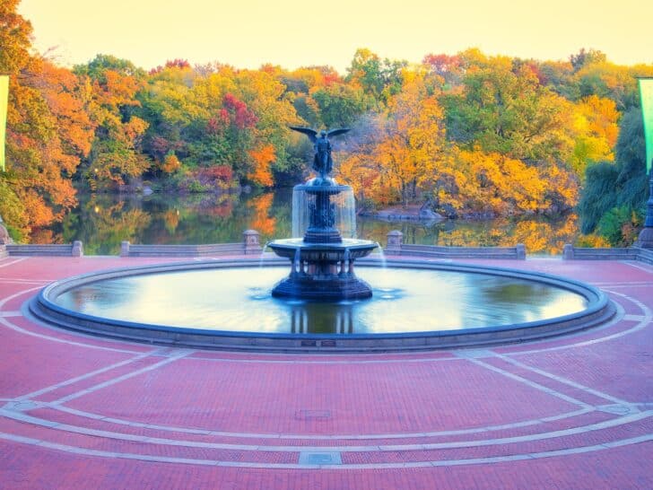 Experience the Best Fall Foliage in NYC (New York City Fall Colors)
