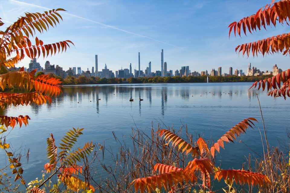 Experience the Best Fall Foliage in NYC (New York City Fall Colors)