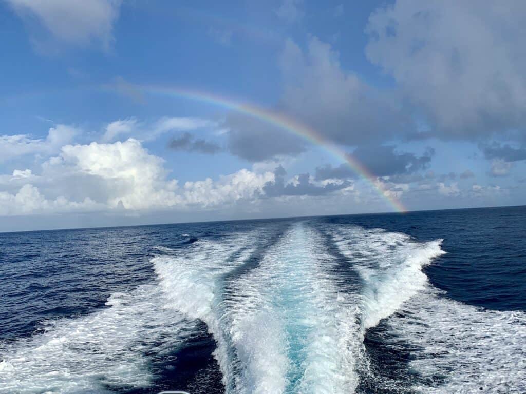 Rainbow Belize Barrier Reef