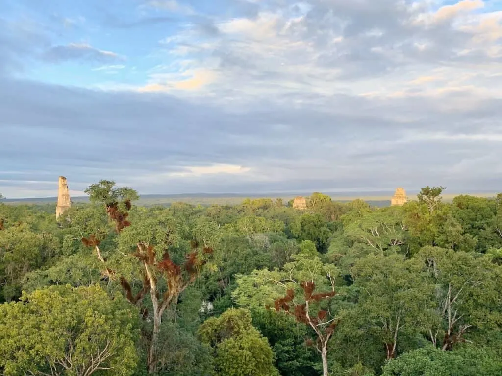 Tikal Sunset