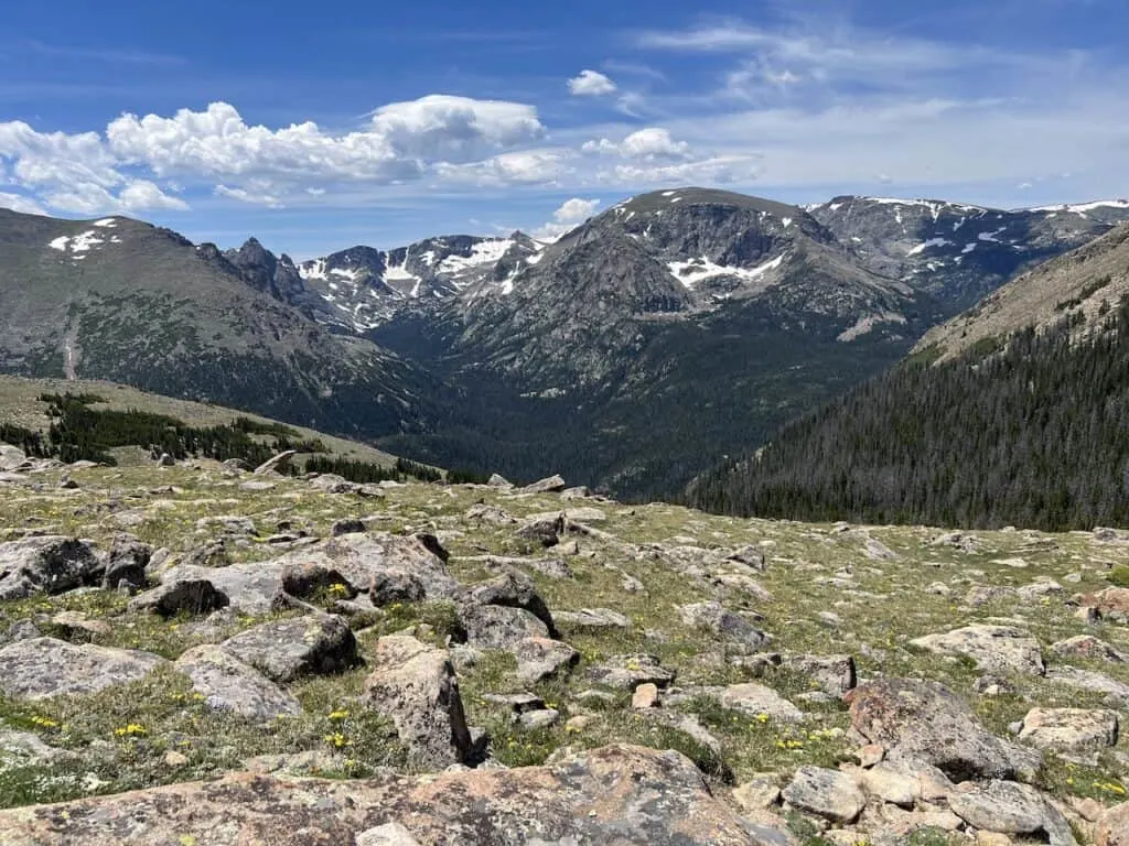 Ute Trail RMNP View