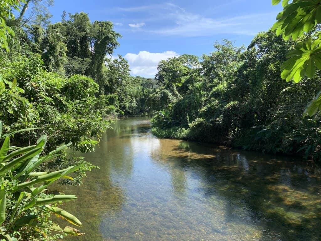 Belize River Trail