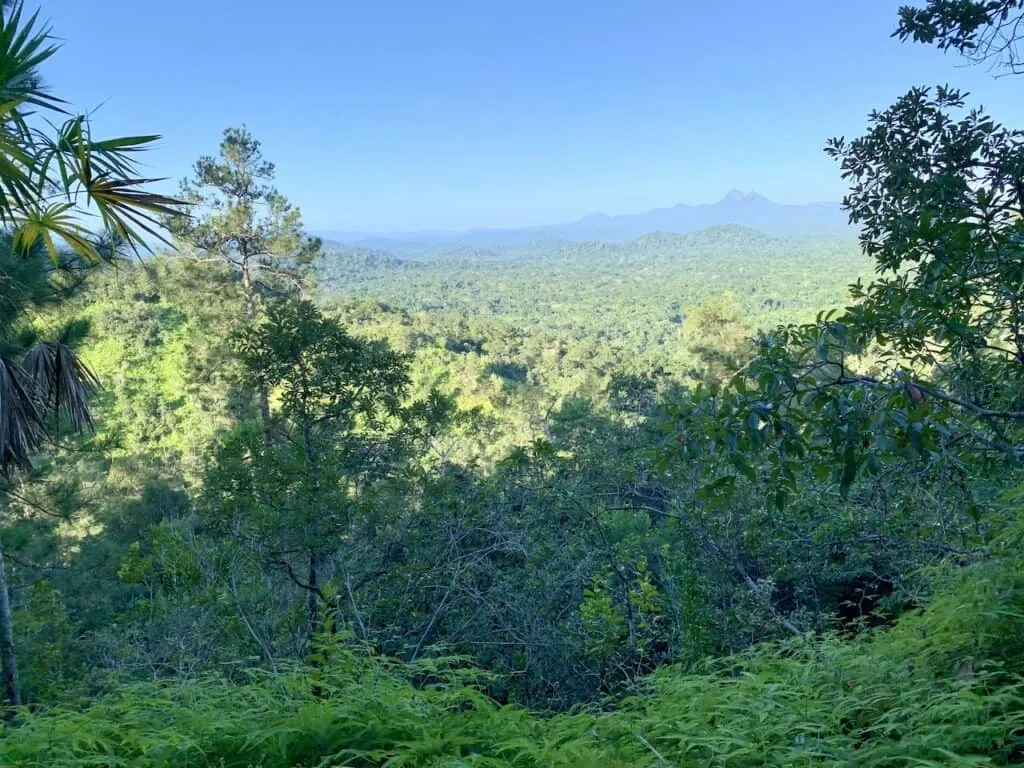 Bens Bluff Lookout