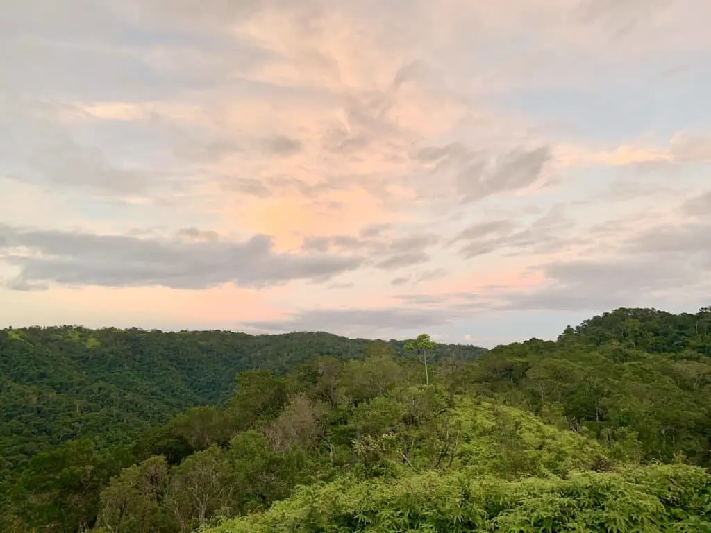 Sunset Belize Forest