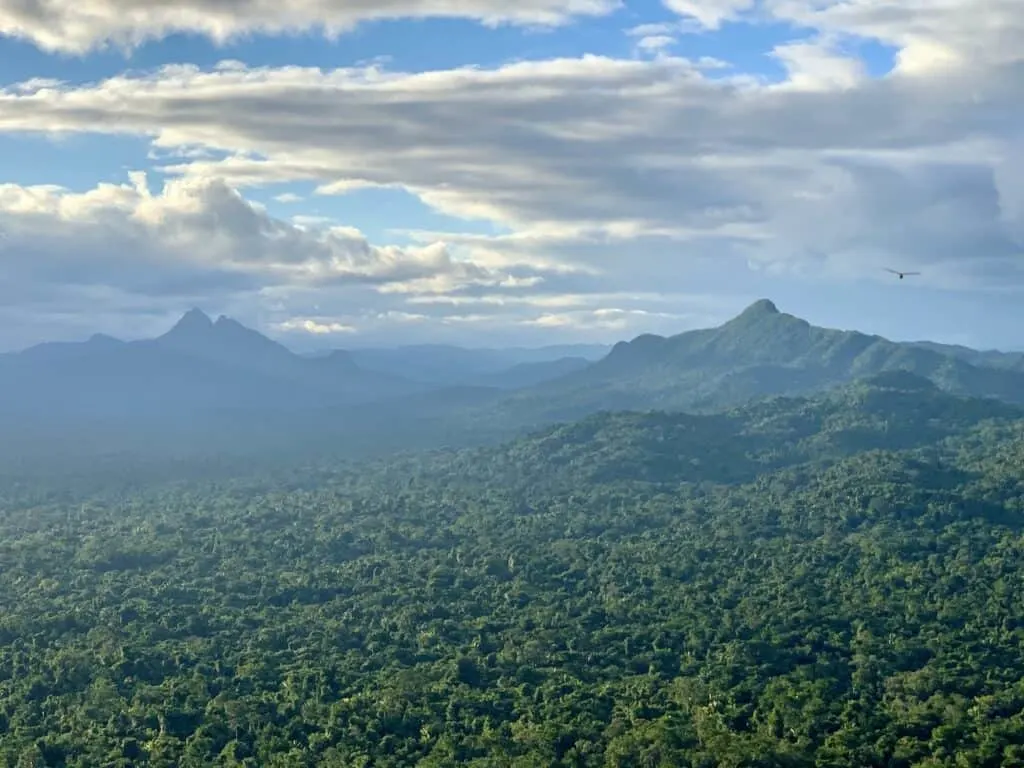 Tiger Fern Lookout