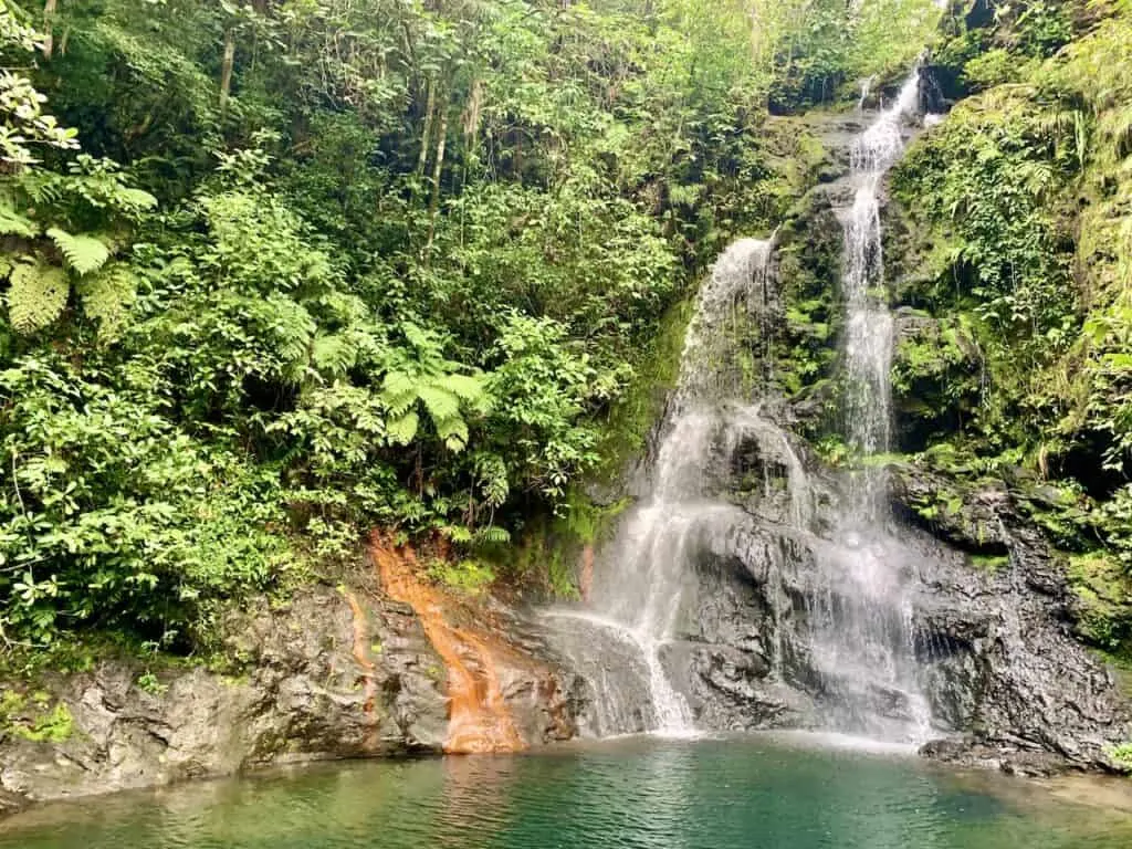 Tiger Fern Waterfall