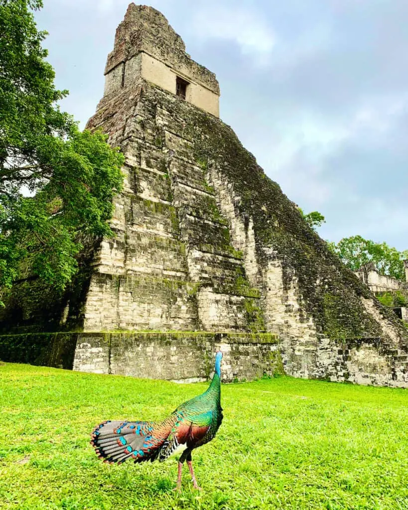 Tikal National Park