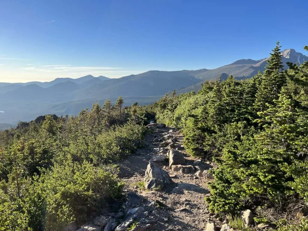 Above Tree Line Views Flattop