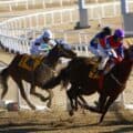 Horse Racing