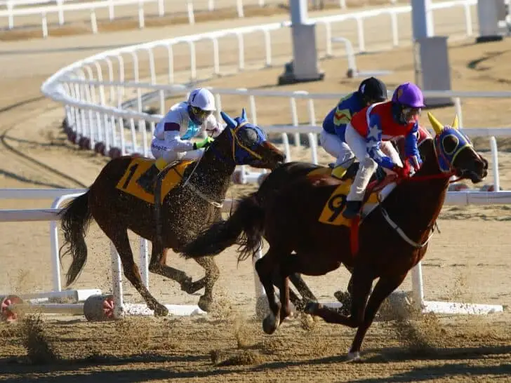 How to Prepare a Trip to the Kentucky Derby