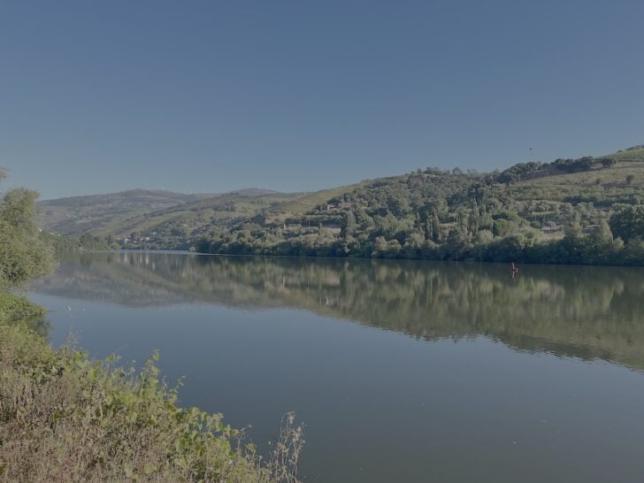 Douro River Cruise from Porto: What You See and What You Skip